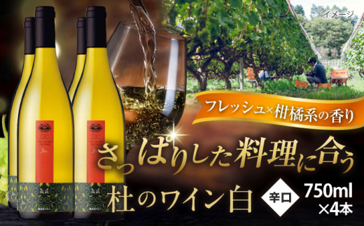 ワイン 奥出雲葡萄園 杜のワイン白　4本セット 国産 ワイン セット 白ワイン 4本 4本セット 詰め合わせ 飲み比べ セット まとめ買い お酒 酒 アルコール 日本ワイン 国産ワイン 地ワイン 750ml やや甘口 スッキリ 飲みやすい お取り寄せ プレゼント お祝い 誕生日 記念日 パーティー 人気 おすすめ 送料無料 島根県雲南市/有限会社奥出雲葡萄園 [AICS061]