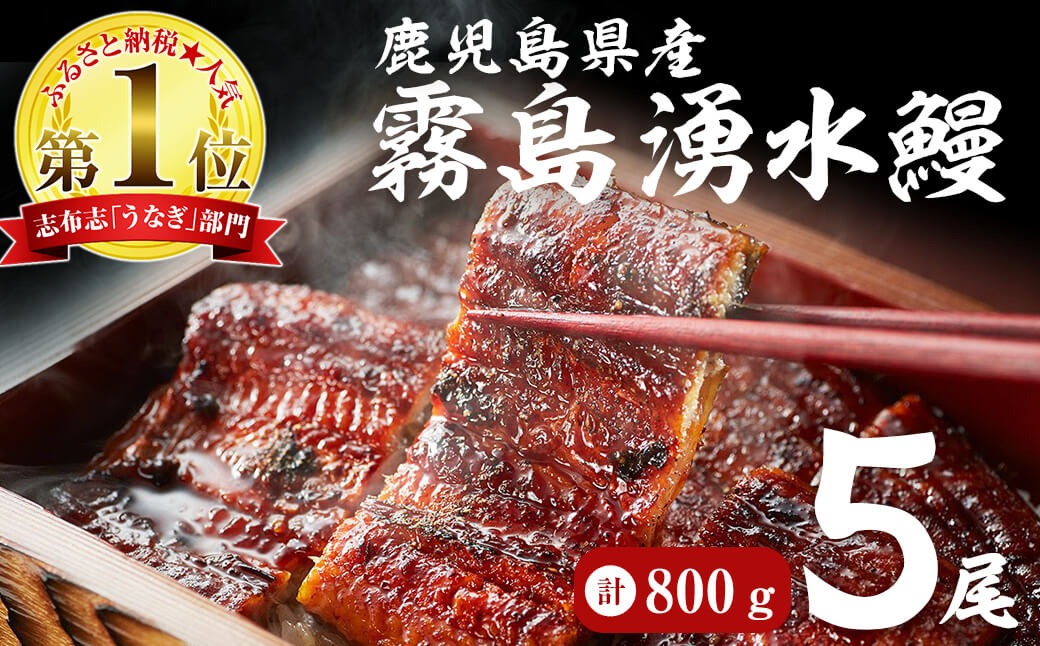 【お礼の品人気No1】霧島湧水鰻の蒲焼き 160g以上×5尾＜計800g以上＞ b8-038
