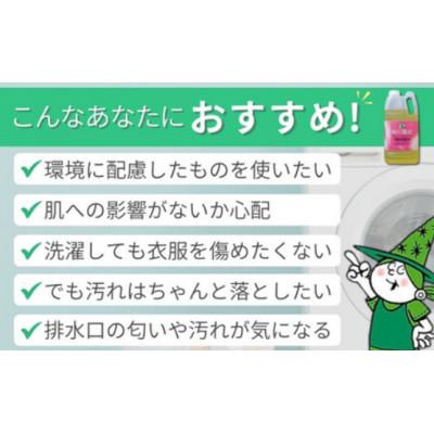 ふるさと納税 龍ケ崎市 新製品 2024年春頃発売 部分洗い洗剤 無香料 緑の魔女エリソデプレウォッシュ 280mL×24 |  | 02