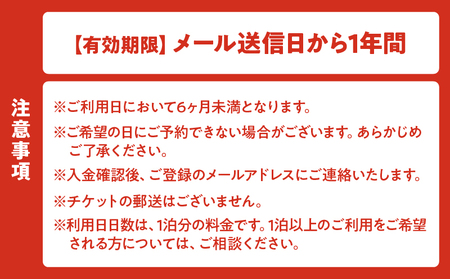 別府温泉で整う産後ケアサービス「MOTTO」–ゆっくり眠れる「夜預かりプラン」（生後6ヶ月未満）–_B195-001