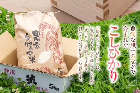 令和8年産 コシヒカリ 5kg 白米