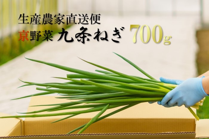 生産農家直送 京野菜・九条ねぎ700g〈ねぎ ネギ 葱 九条ねぎ 京野菜 京都 新鮮 甘い 農家直送 野菜〉 京都府産 薬味 料理 食材 