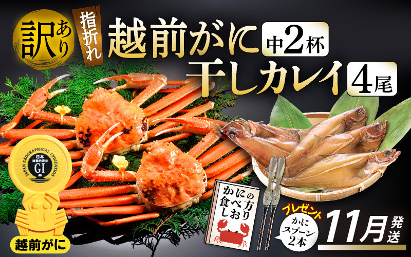 
「訳あり 指折れ 越前がに（中）2杯」+ 「干しカレイ 4尾」 食べ方しおり かにスプーン付き【雄 ズワイガニ ずわいがに 越前ガニ 姿 ボイル 冷蔵 福井県】【11月発送分】希望日指定可 備考欄に希望日をご記入ください [e15-x006_11]
