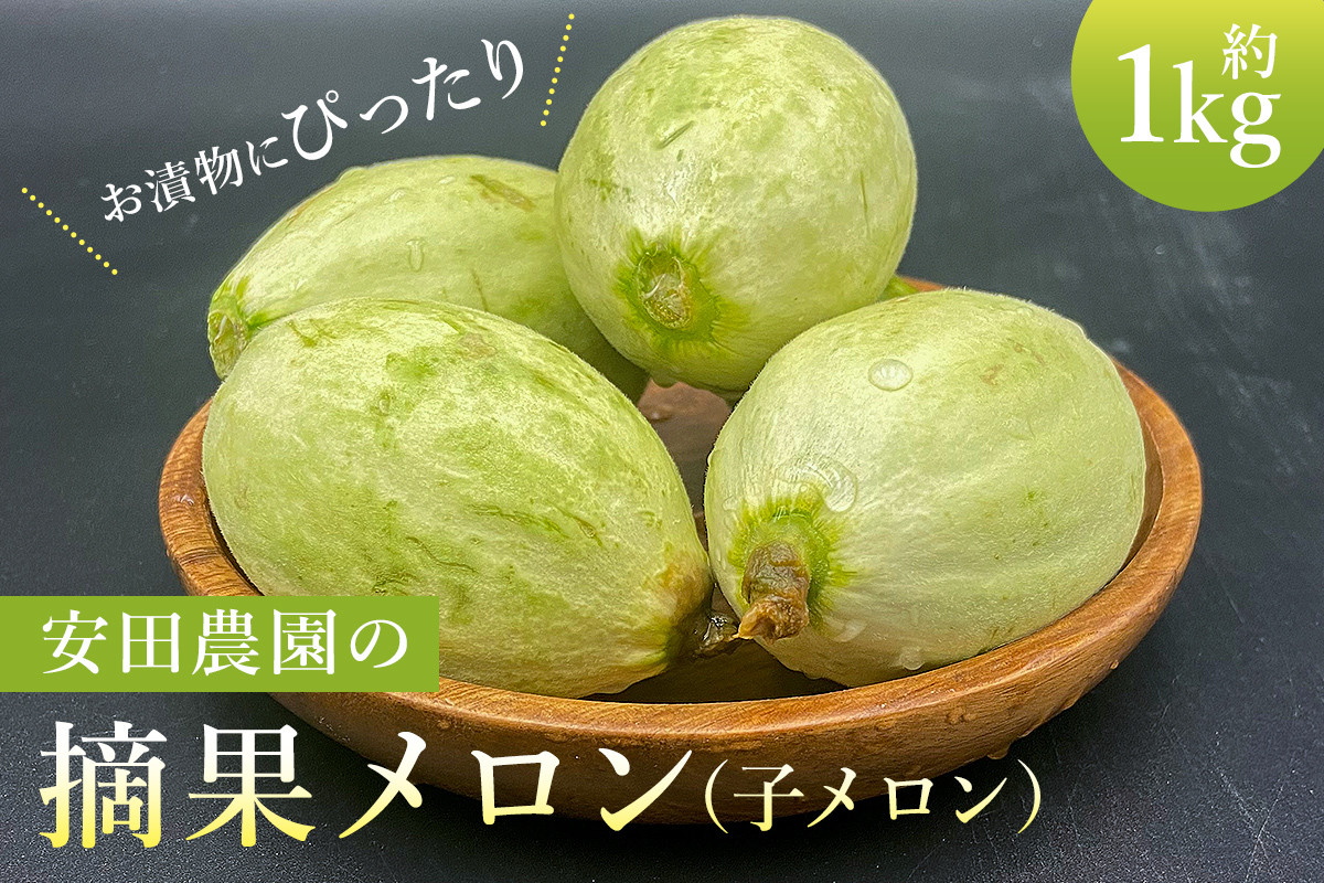 安田農園の摘果メロン（子メロン）1kg