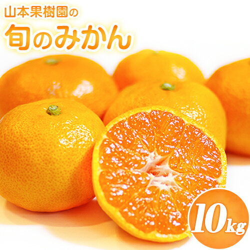 【ふるさと納税】みかん 旬 みかん フルーツ みかん期間限定山本果樹園の旬のみかん 10kg 山本果樹園《9月中旬-2月末頃出荷》蜜柑 柑橘 ひのあかり 日南 豊福　肥後早生 青島 旬の品種をお届け！フルーツ 果物