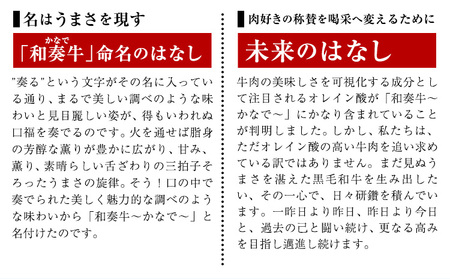 A5 A4 ランク 厳選 くまもと黒毛和牛 サーロインステーキ 1枚(250g-280g)《30日以内に出荷予定(土日祝除く)》 熊本県 大津町 和牛焼肉LIEBE くまもと黒毛和牛 サーロイン ステ