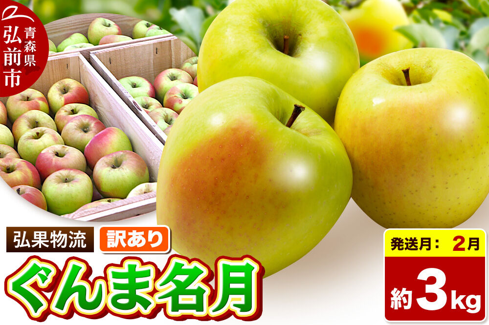 【27年2月発送】りんご ぐんま名月【訳あり】約3kg 先行受付 家庭用 青森県 弘前市 果物 フルーツ 林檎 リンゴ くだもの 不揃い 規格外 [先行予約 産地直送 アップル おいしい 果実 美味 