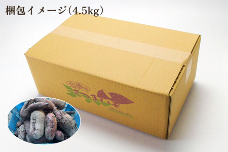 【規格外】さつまいも詰め合わせ4.5kg 新潟県加茂市七谷産 《11月下旬〜順次発送》 サツマイモ フードロス SDGs 人気品種 食べ比べ 紅はるか 紅あずま 焼き芋 蒸し芋 スイートポテト スイー