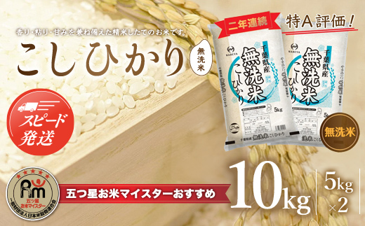 【最短2～7営業日出荷】令和7年産 2年連続特A評価!千葉県産コシヒカリ10kg無洗米（5kg×2袋） E004