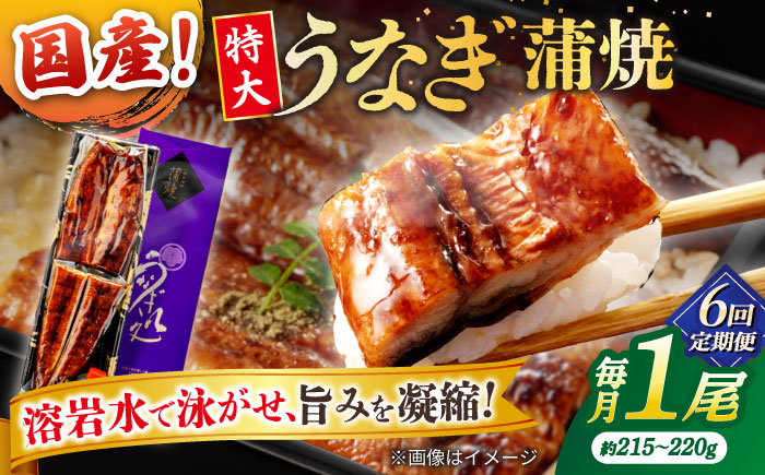 【6回定期便】うなぎ老舗専門店のパリっとふっくら国産うなぎ 蒲焼1尾(蒲焼のタレ付き) 島根県松江市/株式会社山美世商会 [ALDC008]