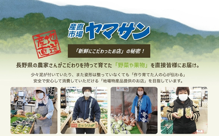 【2026年先行予約】ナガノパープル  400g以上(1房) ｜ ぶどう ぶどう