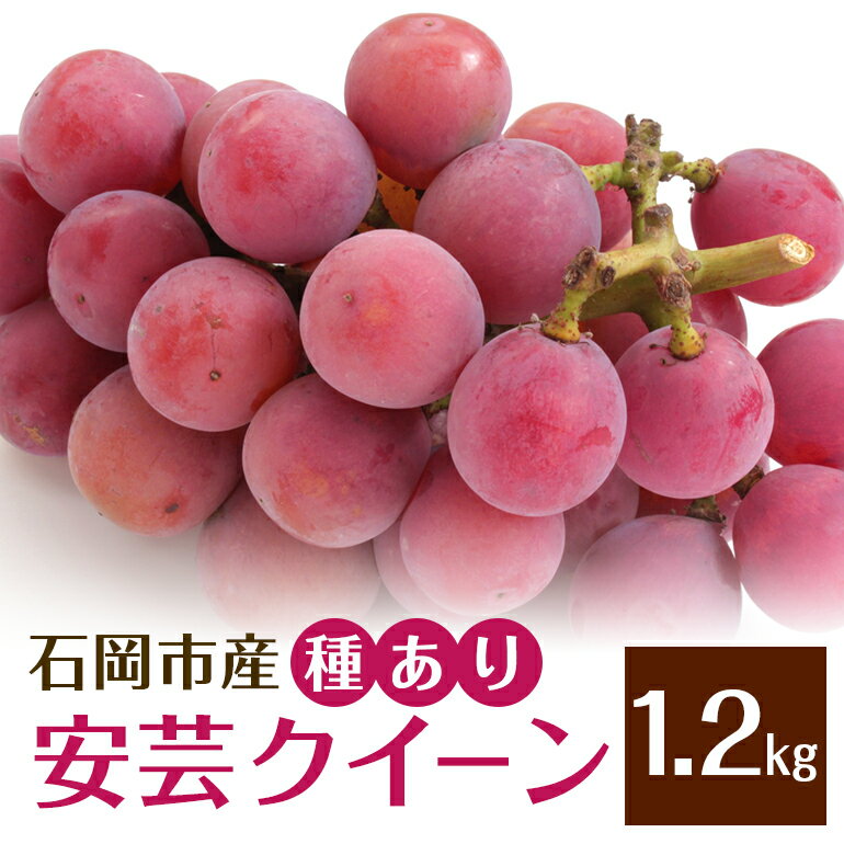 【ふるさと納税】 【2026年先行予約】安芸クイーン1.2kg（種あり） ぶどう ブドウ フルーツ 果物 茨城県 石岡市 A01-019