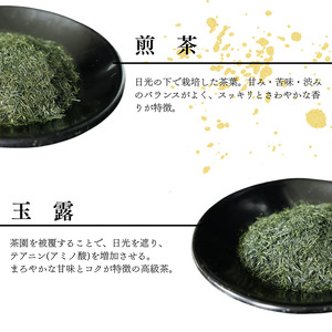 【宇治茶】煎茶 玉露  2本セット お茶 京都 宇治茶宇治茶煎茶玉露【007】