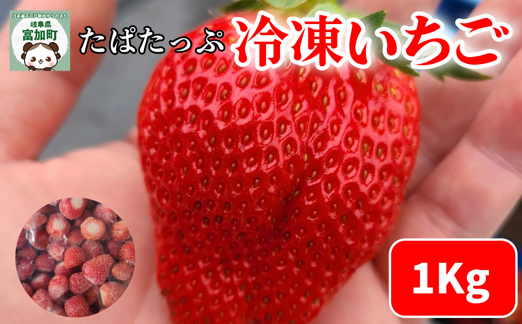 
                  【18029】冷凍いちご 1kg 瞬間冷凍 岐阜県 富加町 スムージー いちご酢 果物 フルーツ 苺 イチゴ 結実後 農薬不使用 人気 たぱたっぷ
                