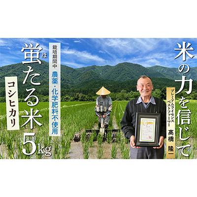 ふるさと納税 最上町 【令和7年産】特別栽培米　蛍たる米コシヒカリ(玄米)5kg