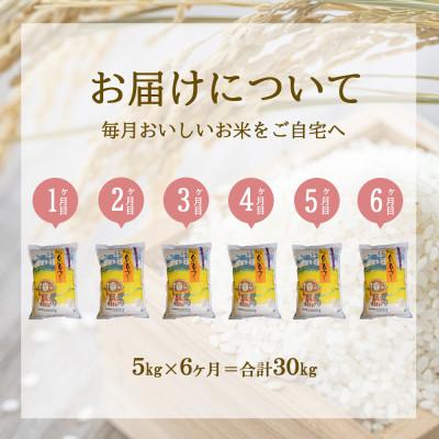 ふるさと納税 えびの市 【毎月定期便】えびの産 ひのひかり 5kg全6回 |  | 01