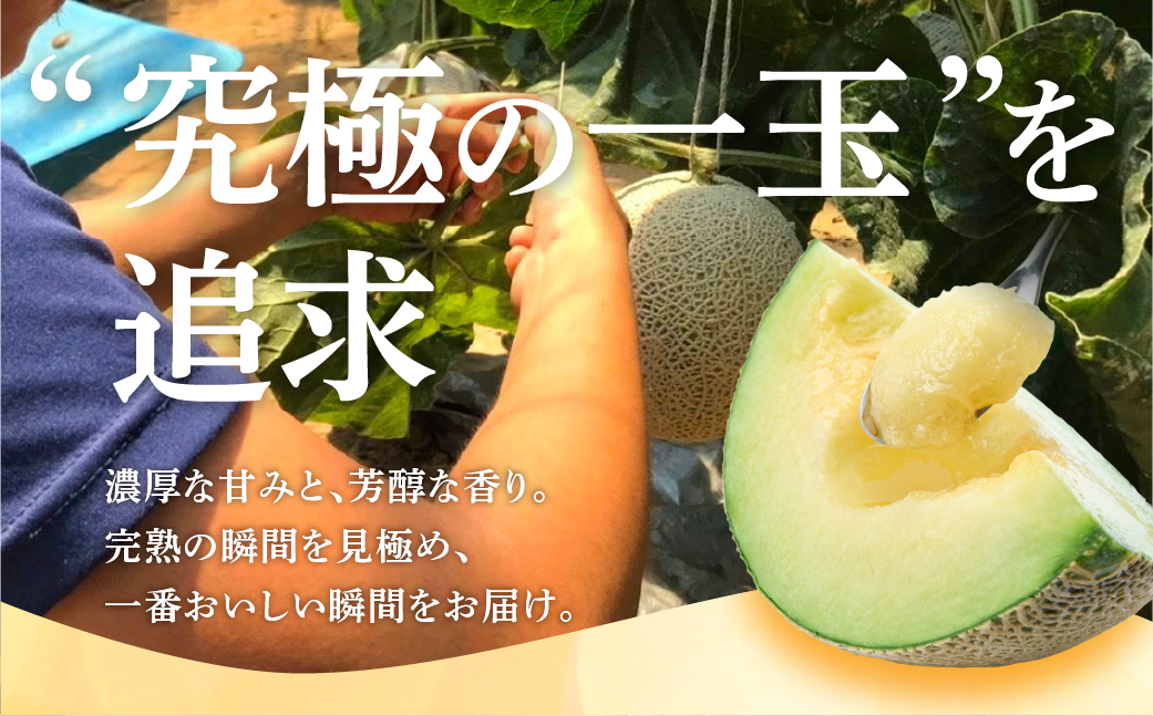 ≪先行予約≫温室マスクメロン 2玉【贈答】めろん メロン マスクメロン 果物 フルーツ デザート 旬 旬の果物 高糖度 糖度 愛知県 豊橋市