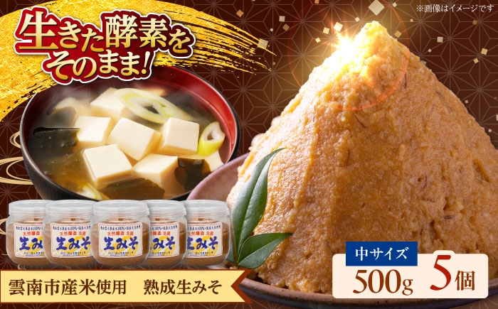 
                  調味料【雲南市産米使用】熟成生みそ（中）500g×5個 味噌 みそ 国産 生みそ 熟成みそ 味噌汁 みそ汁 セット おすすめ 人気 調味料 発酵食品 国産米使用 詰め合わせ 贈り物 贈答 ギフト プレゼント 毎日 ごはんのお供 ご飯のお供 食品 ストック 備蓄 保存食 セット 麹味噌 米味噌 お味噌汁 和食 料理 調理 アレンジ島根県雲南市/株式会社大東農産加工場 [AIEG006]
                
