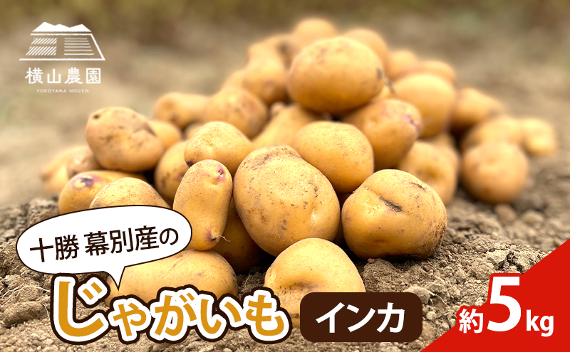 北海道 十勝 幕別産 じゃがいも インカ 約5kg【横山農園】  野菜 根菜 フライドポテト ポテトチップス 変色しにくい 煮崩れしにくい 黄金色 北海道のジャガイモ 