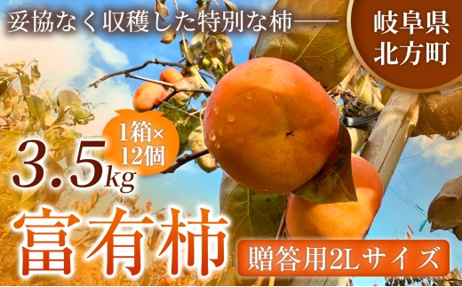 【贈答用】先行予約 令和8年11月中旬順次発送 富有柿 ( 2Lサイズ ・ 12個 ／ 3.5kg ) 1箱 |【お歳暮やご挨拶に選ばれる】 完熟収穫が生む格別な甘み 柿 富有柿 フルーツ 果物 完熟 国産 贈答用 贈り物 手土産 ギフト プレゼント お歳暮 季節の果物 高級 岐阜県 本巣郡 北方町