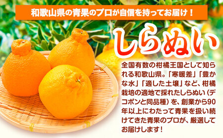 【先行予約】和歌山県紀の川市産 不知火 約2kg 岸武青果株式会社《2026年2月上旬-4月下旬頃出荷》 和歌山県 紀の川市 しらぬい 不知火 果物 フルーツ みかん 柑橘 2kg 送料無料