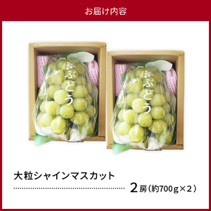 【はじまり農園 うの】大粒シャインマスカット２房（約700g） 山形県河北町産 【河北町観光物産協会】