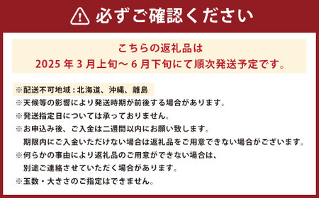 甘夏柑 3L～L 約10kg あまなつかん あまなつ みかん ミカン 蜜柑 果物 くだもの フルーツ 柑橘 【2025年3月上旬－6月下旬発送予定】（828）