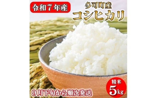 
            【先行受付】数量限定！令和７年産 お米 5kg コシヒカリ 精米 兵庫県多可町産 [1198]
          