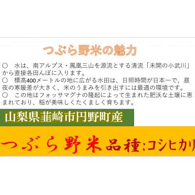 ふるさと納税 韮崎市 【毎月定期便】つぶら野米(品種:コシヒカリ) 白米6kg 定期10ヶ月(計60kg)全10回 |  | 01