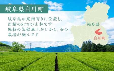 【令和6年度 新米】清流 佐見川 コシヒカリ 10kg 米 コメ こしひかり 白川町 / S.K.C[AWAX002]