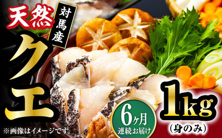 【全6回定期便】【 対馬産 】 天然 クエ 1kg（500g×2）（身のみ） 鍋 水炊き 海鮮 クエ 天然クエ [WAB025]