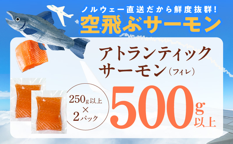 【無地熨斗】アトランティックサーモン 総量 500g以上【フィレ エコパック 訳あり サイズ不揃い 刺身 さーもん 冷凍 北国からの贈り物】 099H3605-1