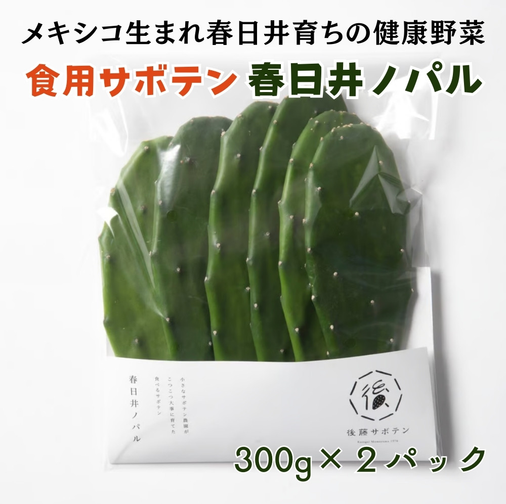 
            メキシコ生まれ春日井育ちの健康野菜 食べるサボテン 春日井ノパル 300グラム×2パック ※2026年4月上旬～12月上旬頃に順次発送予定
          