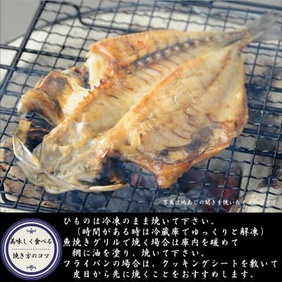 ふるさと納税 大牟田市 【無添加・天日干し・手造り】地あじひらき10枚セット |  | 02