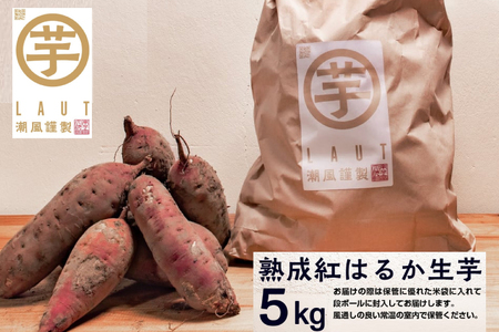さつまいも 熟成 紅はるか 芋 5kg _CE004