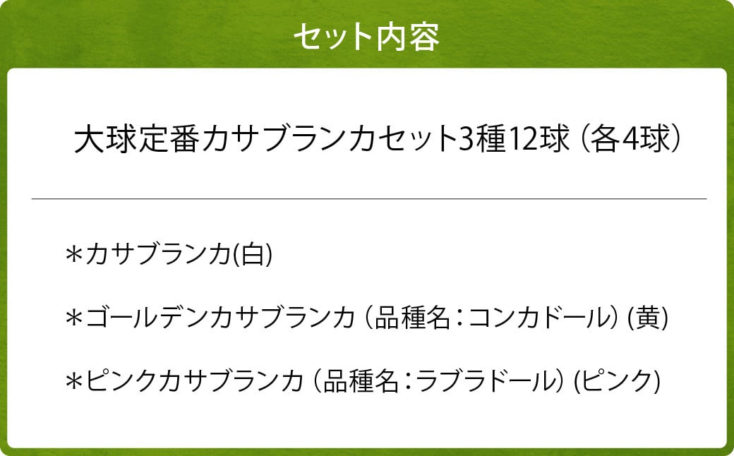 ユリ球根 カサブランカ 3種 各4球 合計12球