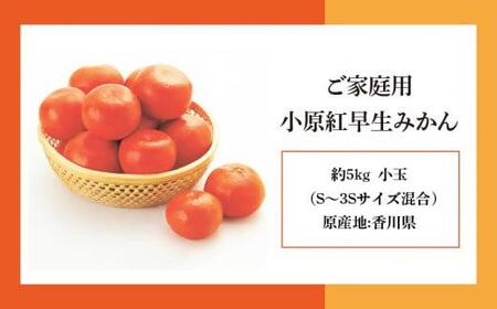 【訳あり】ご家庭用　小原紅早生みかん(サイズおまかせ)約5kg【2025年11月中旬～2026年1月中旬配送】