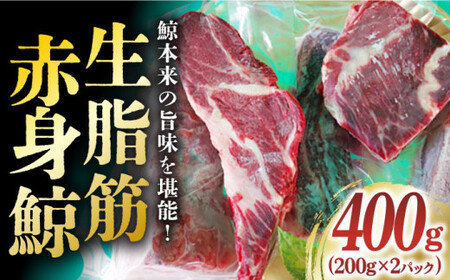 【鯨本来の旨味を堪能！】生脂筋 赤身鯨 400g（200g×2パック）《小値賀町》【 中島（鯨）商店】 [DBM002] 鯨 クジラ肉 鯨肉 海鮮 おつまみ 鮮魚 刺身 赤身 贅沢 [DBM002] 鯨 くじら くじら