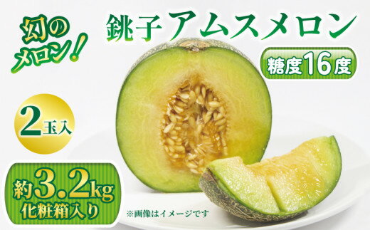 【ふるさと納税】 幻のメロン！銚子アムスメロン（2玉入り 3.2kg 化粧箱入り） メロン 青肉 果物 フルーツ ギフト プレゼント 贈答 お取り寄せ デザート スイーツ ケーキ ゼリー ジュース フルーツサンド 糖度 国産 千葉県 銚子市