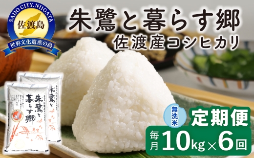【定期便 令和8年産新米 6か月】 佐渡島産コシヒカリ 無洗米 10kg 令和8年産新米 特別栽培米 | 新潟県産コシヒカリ 新潟産コシヒカリ 佐渡産コシヒカリ 新潟県産こしひかり 佐渡産こしひかり お米 米 こしひかり 無洗米 むせんまい 精米 おこめ コメ 10キロ にいがた さど 新潟県 佐渡市