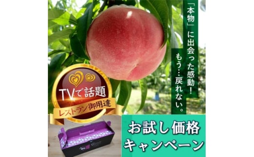 ＜圧倒的なTV出演実績＞メディア出演に裏打ちされた『樹上完熟ブランド桃』2025年7月中旬より発送【1459996】