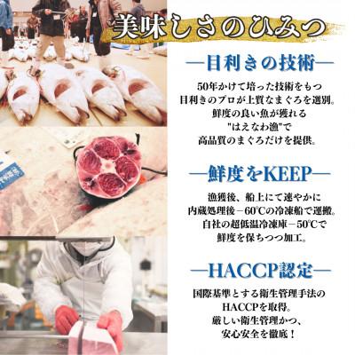 ふるさと納税 三浦市 三崎まぐろ　目鉢まぐろのみ使用　ねぎとろ  すきみ 500g (100g×5P) |  | 03