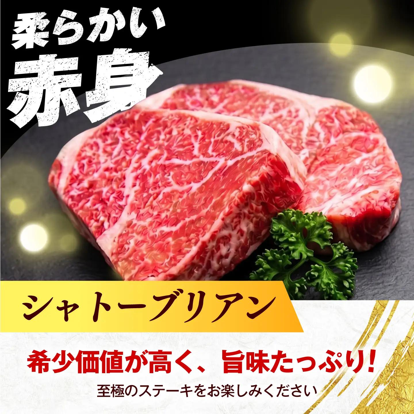  博多和牛 シャトーブリアン 1.5kg（150g×10枚） シャトーブリアン ステーキ [ABEZ030]