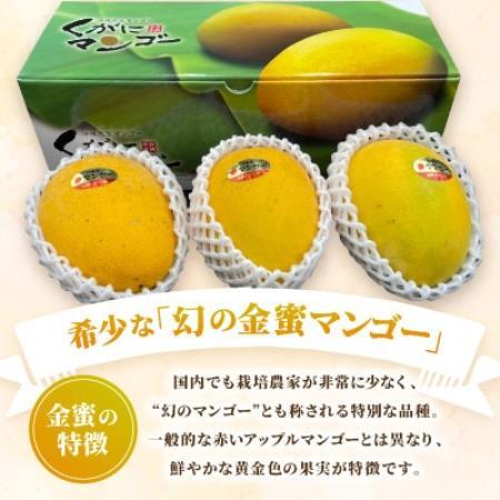 【2026年7月中旬から順次発送】今帰仁産の幻の黄金マンゴー1kg(2～3玉)【配送不可地域：離島】【4014734】