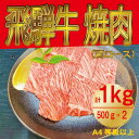 【ふるさと納税】飛騨牛　肩ロース　焼肉　1kg【配送不可地域：離島】【1487296】