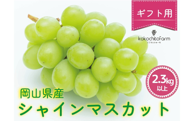 
            ここちとふぁーむ 【ギフト】 岡山県産 シャインマスカット 3～4房 2.3kg以上 【koko004-01】
          