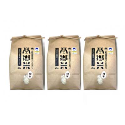 ふるさと納税 五泉市 【毎月定期便】特別栽培米コシヒカリ100%「南郷米」精米 6kg(2kg×3袋)全3回 |  | 01