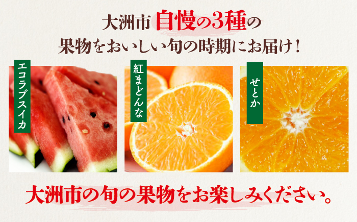 【全3回定期便】 大洲の旬果定期便 愛媛県大洲市/株式会社フジ・アグリフーズ スイカ 紅まどんな せとか フルーツ 定期便 [AGBA025]