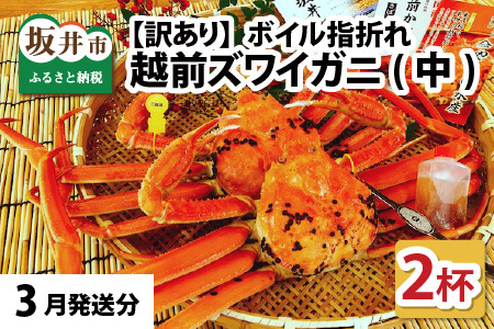 【先行予約】名人が茹でる とれたて指折れ越前がに(中) 2杯【3月発送分】 [J-4304_03]