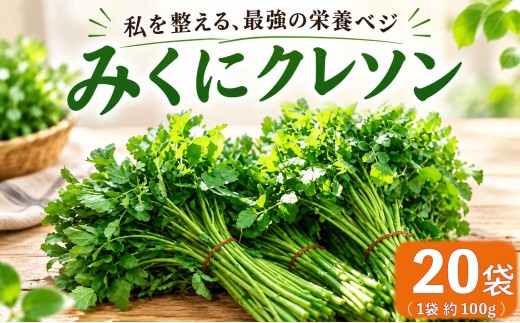 クレソン 100g × 20袋 美容 健康 野菜 スーパーフード 野菜 茨城県産 国産野菜 国産 茨城県 筑西市 筑西 関東 三国園 みくにクレソン mkn005